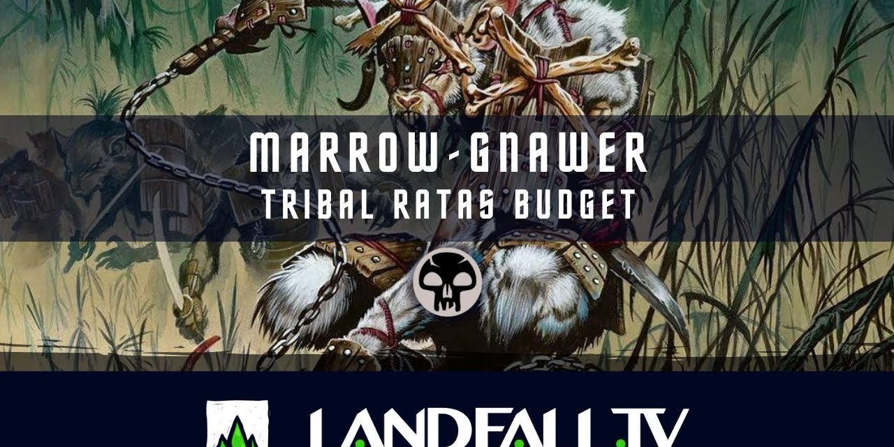 Marrow-Gnawer  tribal ratas deck budget| EDH | Landfall TV#104 | MTG commander en Español